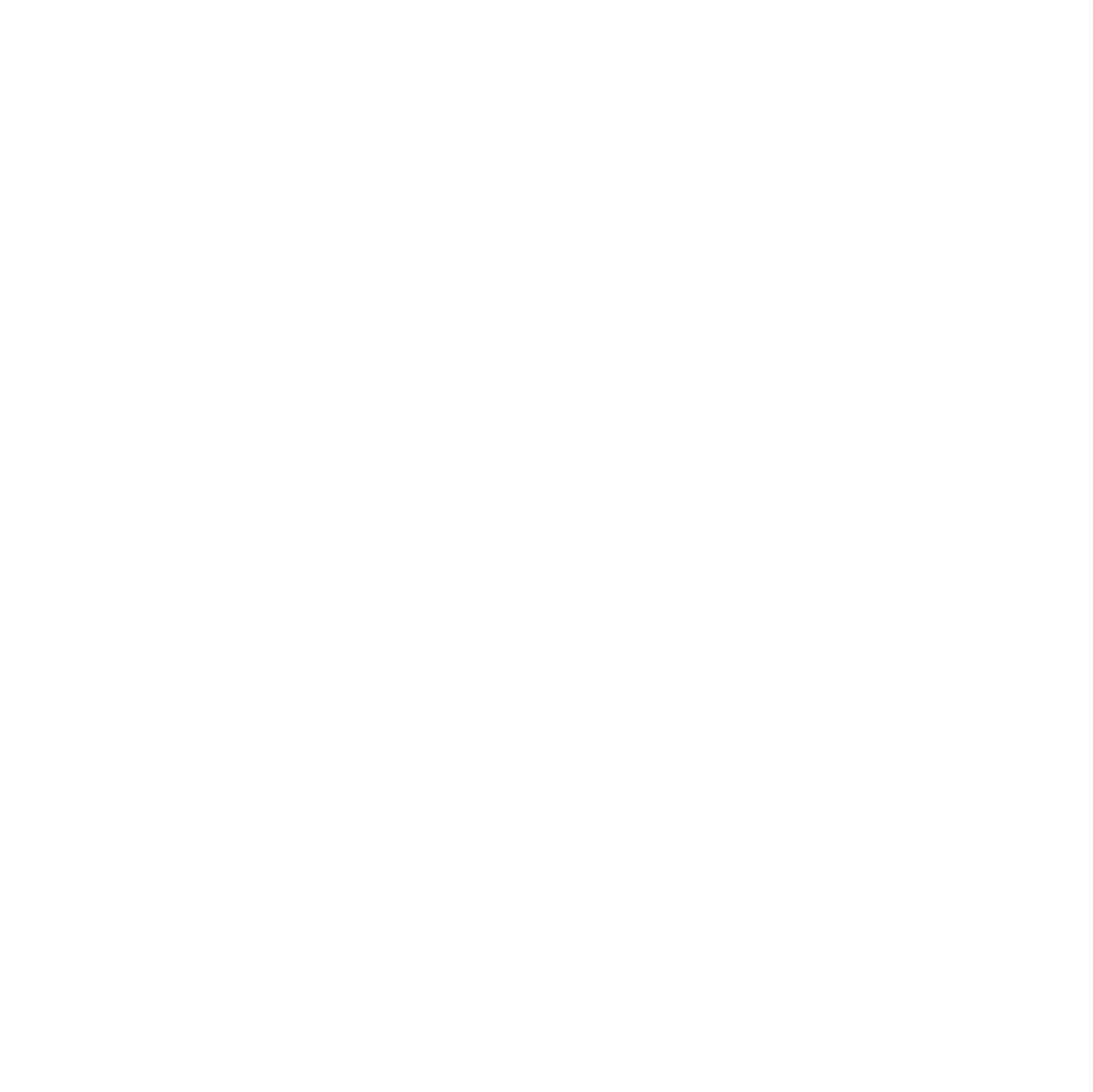 Our team